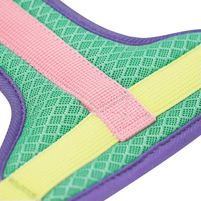 Blueberry Pet Vibrant Mesh Padded Ultra Cool Lightweight Dog Harness Vest in Mint, Large, Neck 21", Chest 24¾"~30¼"