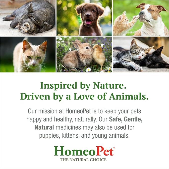 HomeoPet Anxiety Relief