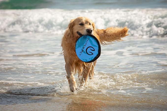 Hyper Pet Flippy Flopper Flying Disc Soft Dog Toy 9 Inch, Floats, 5 Pack | Safe on teeth for all breeds, stays on the water surface for pool and lake fetch games, colors may vary with every order