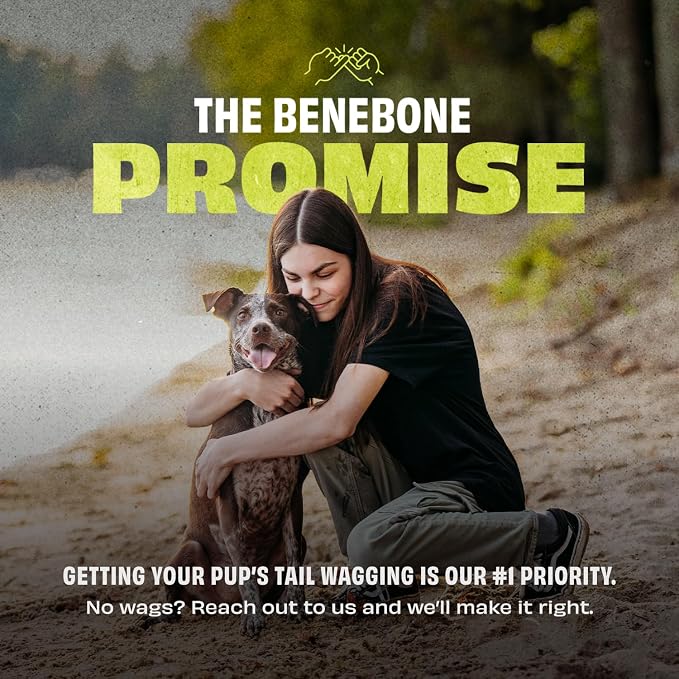 Benebone Natural Rubber Dog Ball, 1 Pack | Natural Rubber, Extra Bouncy, Tooth-Friendly, Great for Fetch, Boredom Buster, Dishwasher Safe, Long-Lasting