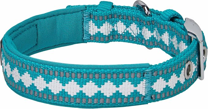 Blueberry Pet Reflective Jacquard Dog Collar with Neoprene Padding & Metal Buckle | Soft & Adjustable Safety Collar - Peacock, Neck 17-20.5", for Large Breed