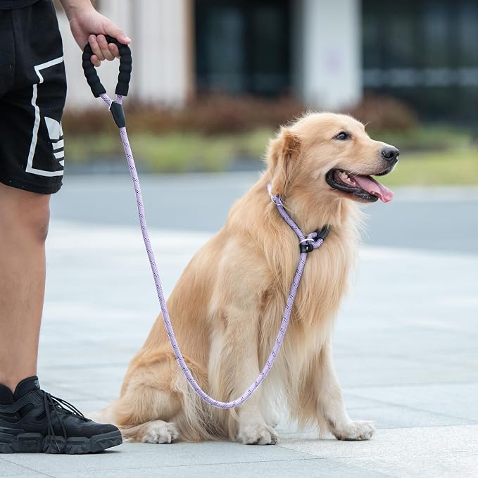 iYoShop Durable Slip Lead Dog Leash, 1/2" x 5 FT, Lavender | Padded Handle, Reflective Threads, No Pull, Dog Training Leash
