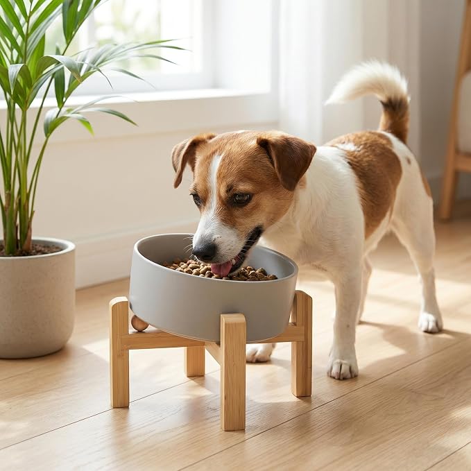 hjn Elevated Ceramic Dog Bowl 15°Slanted Raised Dog Bowl with Bamboo Stand for Small Medium Dogs and Cats, Pet Feeder-3.6-Cup (850ml)-Gray