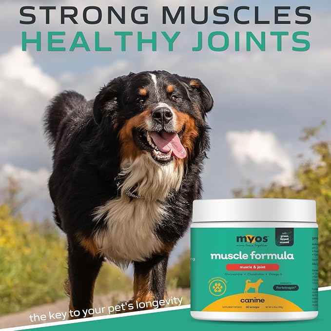 MYOS Muscle & Joint Dog Supplement - Dog Hip and Joint Supplement - 198g
