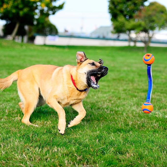 Chuckit! Ultra Duo Tug Toy, Small Indoor and Outdoor for Dogs 0-20 Pounds | Also Doubles as a Dog Ball