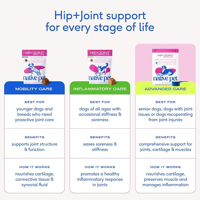 Native Pet Hip and Joint Supplement Dogs - Powder with UC-II Collagen and HMB - Senior and Large Breed Dog Joint Support - Made in USA - 60 Scoops