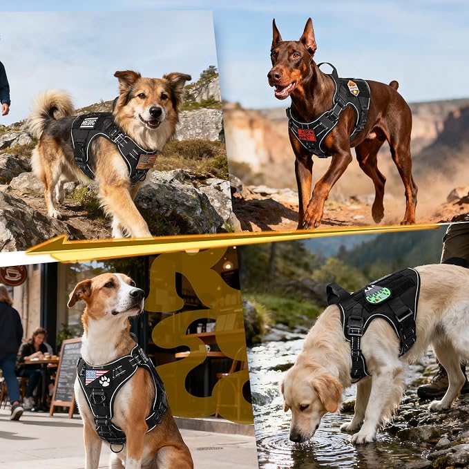 rabbitgoo Tactical Dog Harness for Medium, Heavy Duty Military No Pull Vest | Sturdy Metal Buckles, 5 Adjustments, Molle System, Powerful Pullers for Training, Hunting, Outdoor, Black Reflex, Medium