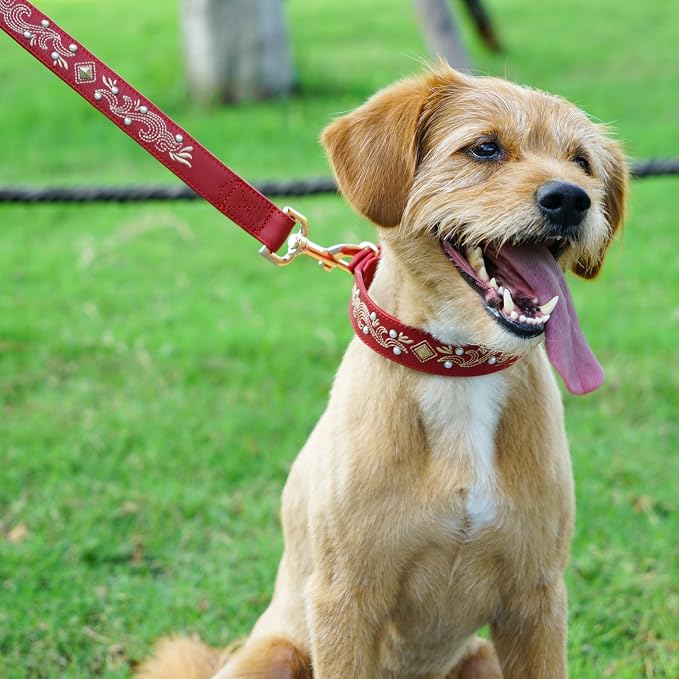 Blueberry Pet Premium Red Leather Dog Leash with Gold Baroque Embroidery