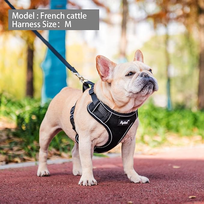 PUPTECK Small Dog Harness and Leash Set, No Pull Adjustable Puppy Cat Harness, Reflective Soft Mesh Pet Vest Small Sized, Black, L