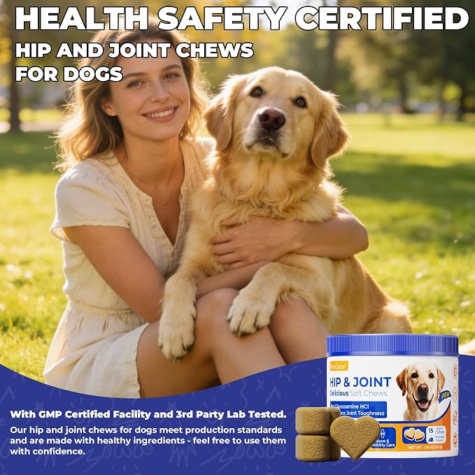 Hip & Joint Supplement for Dogs, Hip and Joint Chews Support Mobility, Senior Small All Breed Pain Relief with Glucosamine Chondroitin MSM Turmeric Green Lipped Mussel, Chicken Flavor, 15 Ct
