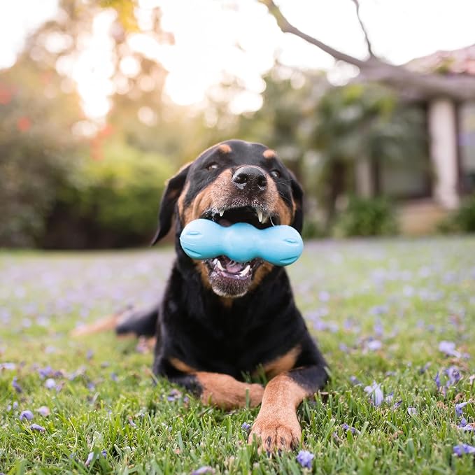WEST PAW Zogoflex Rumpus Dog Chew Toy – Floatable Toy for Dogs, Aggressive Chewers – Puppy Chewing Toys for Catch, Fetch – Recyclable, Dishwasher-Safe, Medium 6.25", Aqua Blue