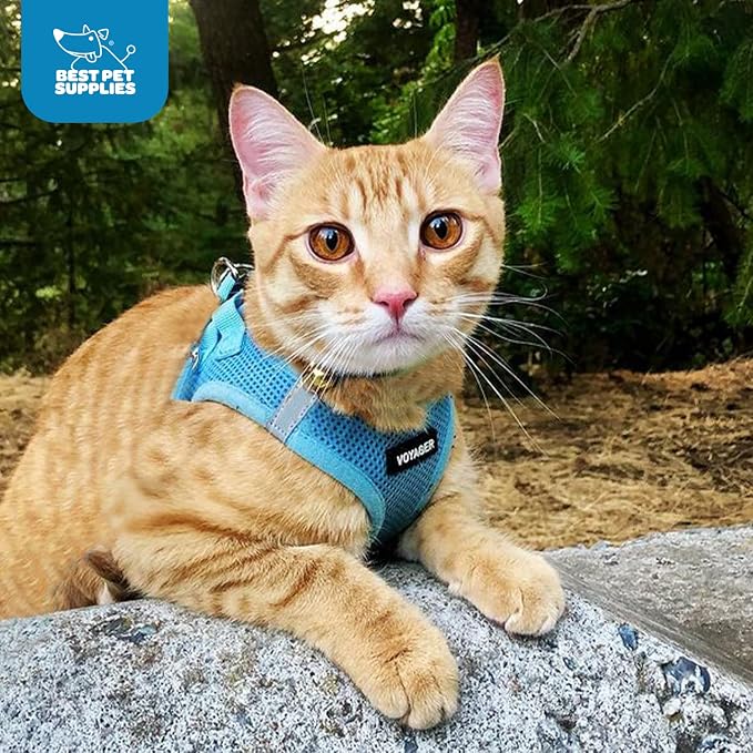 Voyager Step-in Air Dog Vest Harness - Baby Blue, Small | 14.5-16" in Chest, Reflective Bands, All Weather Breathable Air Mesh, Cats Compatible, Lightweight, Fast Drying