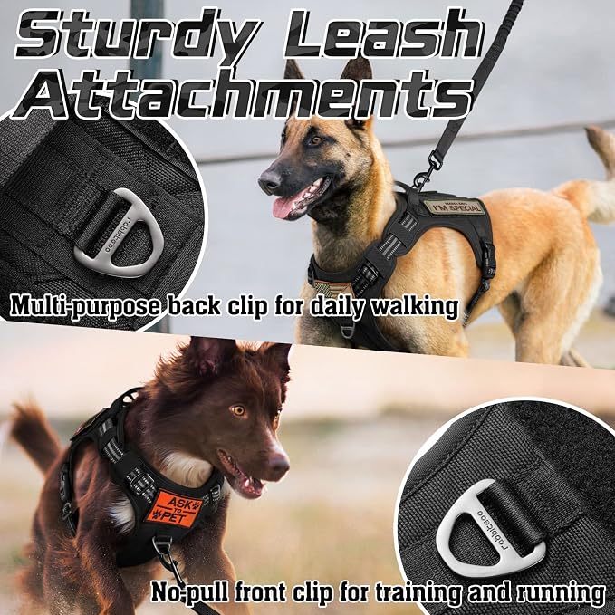rabbitgoo Tactical Dog Harness and Leash for Large Dogs, No Pull Military Vest with Handle & Molle, Easy Control Service Dog Vest Training Walking, Adjustable Reflective Tactical Pet Harness