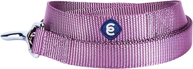 Blueberry Pet Essentials Purple Dog Leash for Small -5' * 5/8" Dogs | Heavy Duty Nylon Lead | Lightweight Puppy & Cat Leash for Walking & Training