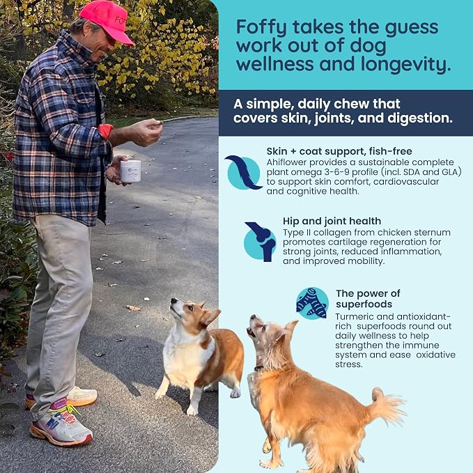 Foffy Daily Dog Multivitamin Soft Chews - Hip & Joint, Skin & Coat - 60 CT