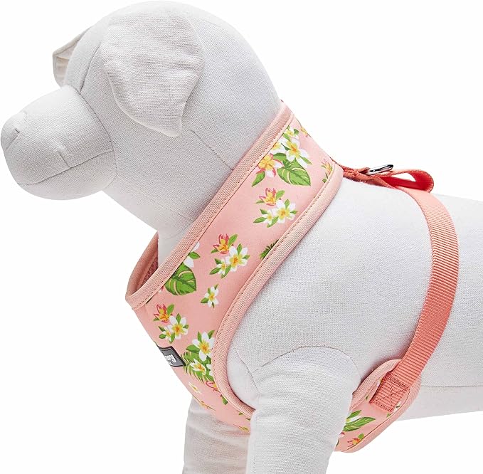 Blueberry Pet Summer Sparkle Dog Harness Vest, Adjustable Small Size, Chest Girth 16" - 21", Tropical Flower Baby Pink, Hibiscus Floral Print Pet Harness