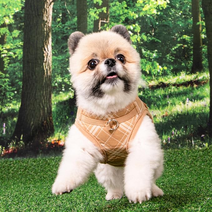 Puppia Corwin Dog Vest Harness B (Step-in) Fashionable Checkered Pattern Spring Summer Harness for Small and Medium Dogs, Beige, Large
