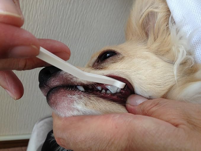 Toothbrush for Ultra-Small Dogs, Micro Head, White, Manual, Pet Toothbrushes for Small Dogs