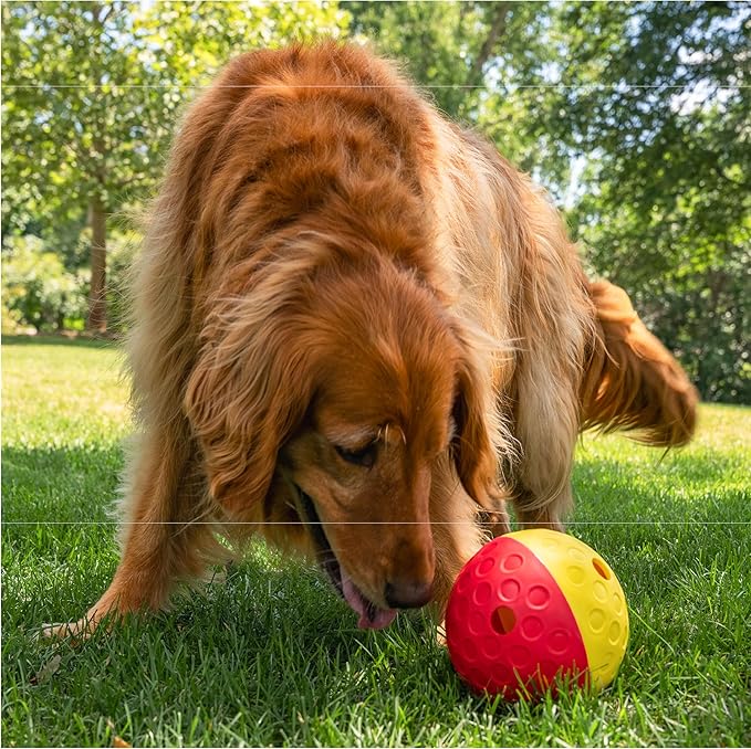 Outward Hound by Nina Ottosson Treat Tumble – Interactive Food-Dispensing Dog Puzzle Ball, Level 1 Beginner, Large, 5.8"