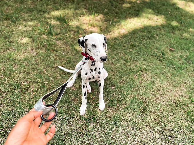 Tuff Pupper Short Dog Leash for Training | 24 Inch | Perfect for Service Dog Harness & Traffic Leash Handle w/Padding | Steel Gray