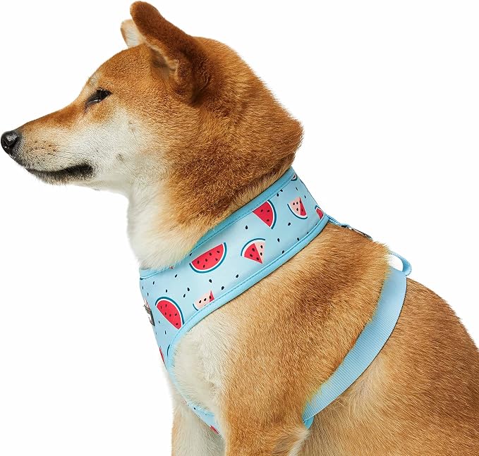 Blueberry Pet Summer Sparkle Dog Harness Vest, Adjustable Medium Size, Chest Girth 19.5" - 26", Blue, Zesty Fruit Watermelon Print Pet Harness