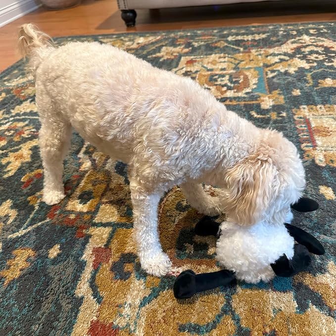 SPOT Baa Baa Black Sheep Plush Dog Toy - Cute and Cuddly Fleece Toy with Squeaker for Medium to Large Dogs and Puppies, 13in Black and White Lamb