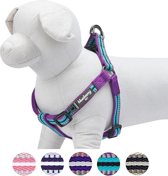 Blueberry Pet 5 Colors Step-in 3M Reflective Multi-Colored Stripe Padded Dog Harness, Chest Girth 26" - 39", Violet & River Blue, Large, Adjustable Harnesses for Dogs