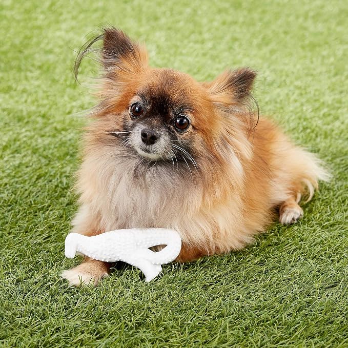 Nylabone Power Chew Dental Dino