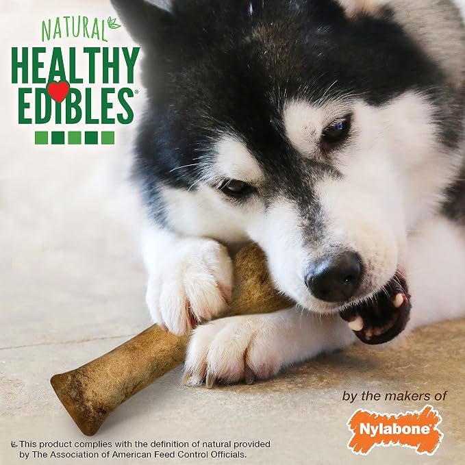 Nylabone Healthy Edibles Natural Dog Chews, Long Lasting Bones for Dogs, Roast Beef Flavor Dog Treats, X-Large (1 Count)