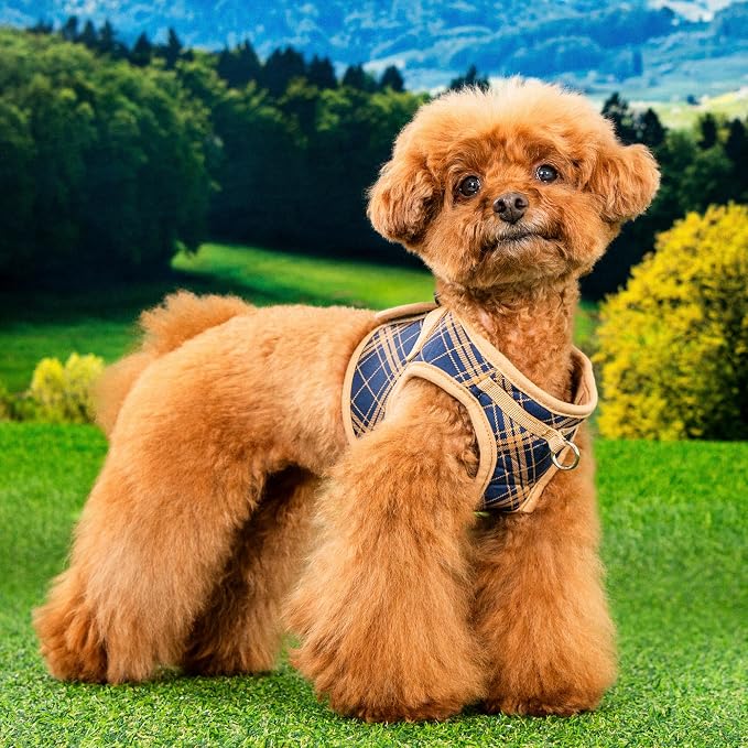 Puppia Corwin Dog Vest Harness B (Step-in) Fashionable Checkered Pattern Spring Summer Harness for Small and Medium Dogs, Navy, Small