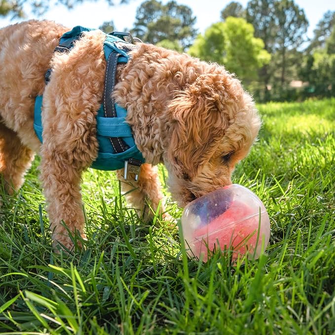Outward Hound by Nina Ottosson Topsy Treat Ball Dog Puzzle, Level 1 Beginner, Orange