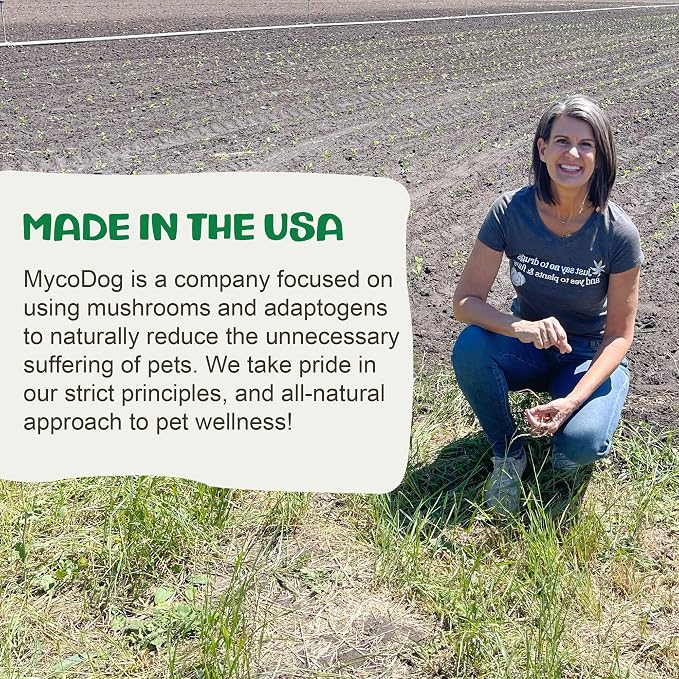 MycoDog Digest, Digestive Mushroom Supplement for Dogs for Healthy Poop