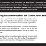 Fresh Is Best Duck Freeze Dried Dog Food – High-Protein Duck Dog Treats