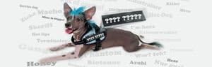 Julius-K9 Powerharness, 3, Blue Sky