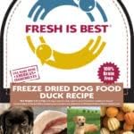 Fresh Is Best Duck Freeze Dried Dog Food – High-Protein Duck Dog Treats
