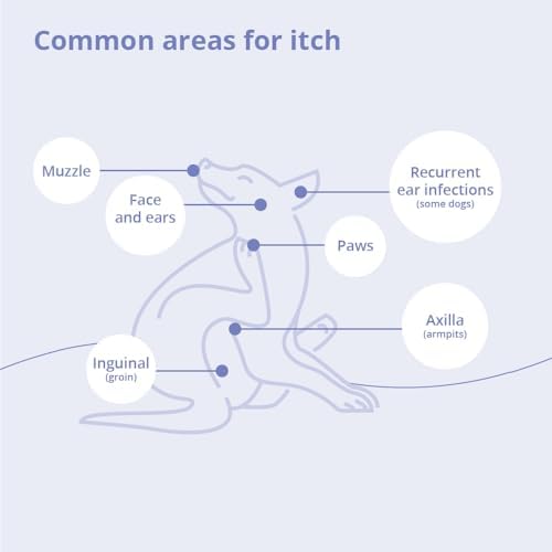 MiconaHex+Triz Shampoo for Dogs, Cats and Horses, Gallon | Antibiofilm, Moisturizing; Packaging May Vary