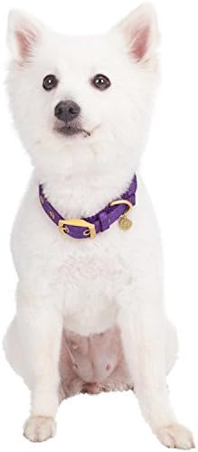 Blueberry Pet The Most Coveted Designer Mixed Metallic Thread Adjustable Dog Collar in Dazzling Tinsel Purple with Metal Buckle, Neck 17-20.5", for Large Breed