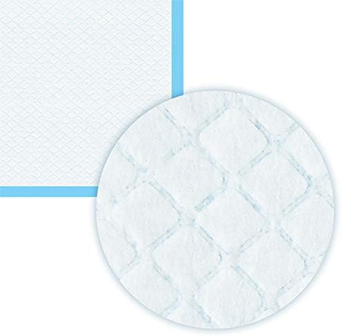 Care All-Absorb, 23.6" x 23.6", 40 Count, Dog and Puppy Training Pads, Ultra Absorbent and Odor Eliminating, Leak-Proof 5-Layer Training Pads with Quick-Dry Surface (L- 23.6 x 23.6-(40 Count))