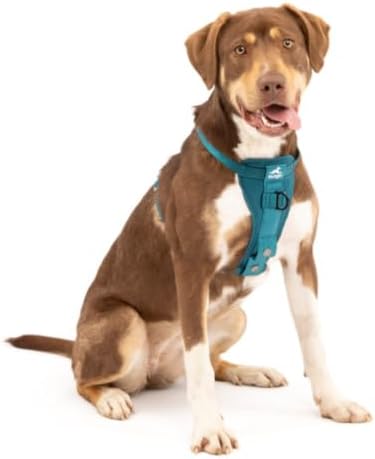 Kurgo Enhanced Strength Tru-Fit Smart Harness, Ink Blue, Medium