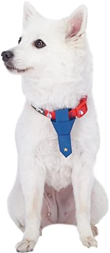 Blueberry Pet 4 Patterns Cardinal Red Nautical Sailboat Designer Adjustable Tie Dog Collar, Small, Neck 12"-16"