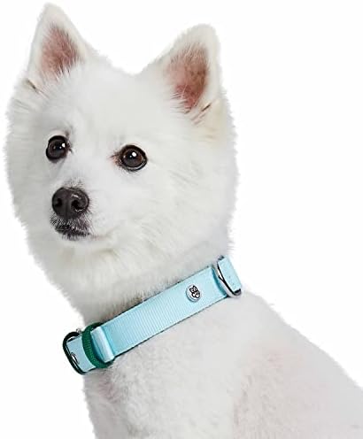 Blueberry Pet Iconic Color-Block Adjustable Dog Collar with Metal Buckle, Sky Blue and Dark Green, Neck 13-16.5", for Medium Breed