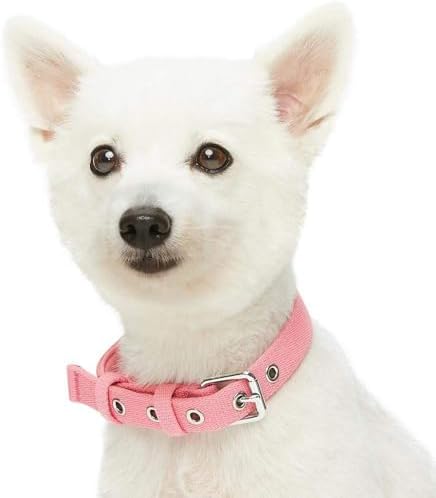 Blueberry Pet New Classic Modern Iconic Neoprene Padded Dog Collar Carnation Pink/Large