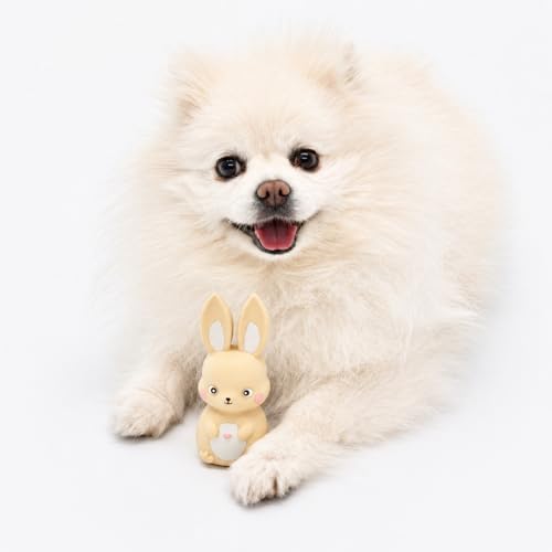 Rubber Squeaky Dog Toys, Latex Dog Squeaky Toys, Easter Bunny Dog Toy, Love Struck Bunny, Small (Beige)