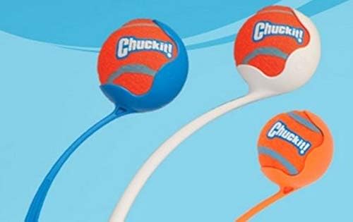 Chuckit! Dog Tennis Ball Dog Toy, Large 3in 1 Pack | Made for Dogs Weighing 0 to 100 Pounds