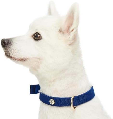 Blueberry Pet New Classic Modern Iconic Neoprene Padded Dog Collar Indigo Blue/Small