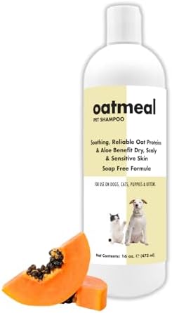 Itch Relief Oatmeal and Aloe Pet Shampoo 16 oz. for Dogs & Cats | Anti-Itch & Deodorizing Formula | Soothe and Moisturize Dry Itchy Sensitive Skin