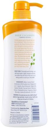 Arm & Hammer Ultra Fresh Charcoal Dog Shampoo, Rosemary, 24 Oz | Deep cleansing formula, baking soda deodorizing, eucalyptus mint scent, pump bottle, for daily grooming