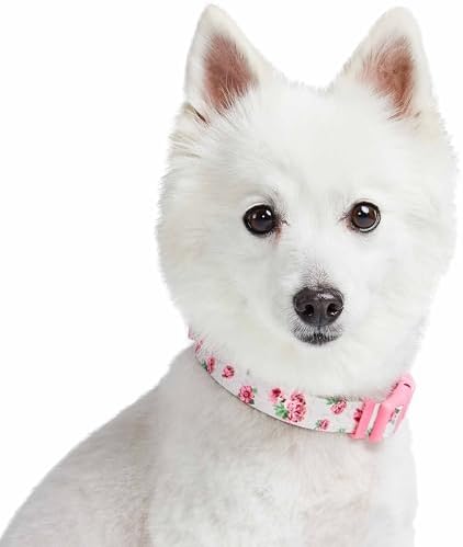 Cherry Garden Dog Collar with Dainty Flowers