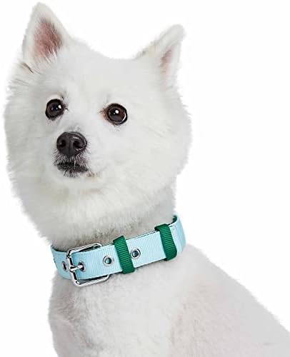 Blueberry Pet Iconic Color-Block Adjustable Dog Collar with Metal Buckle, Sky Blue and Dark Green, Neck 17-20.5", for Large Breed