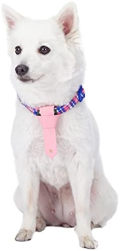 Blueberry Pet 4 Patterns Multiple Hues Scottish Plaid Style Adjustable Tie Dog Collar, Medium, Neck 14.5"-20"